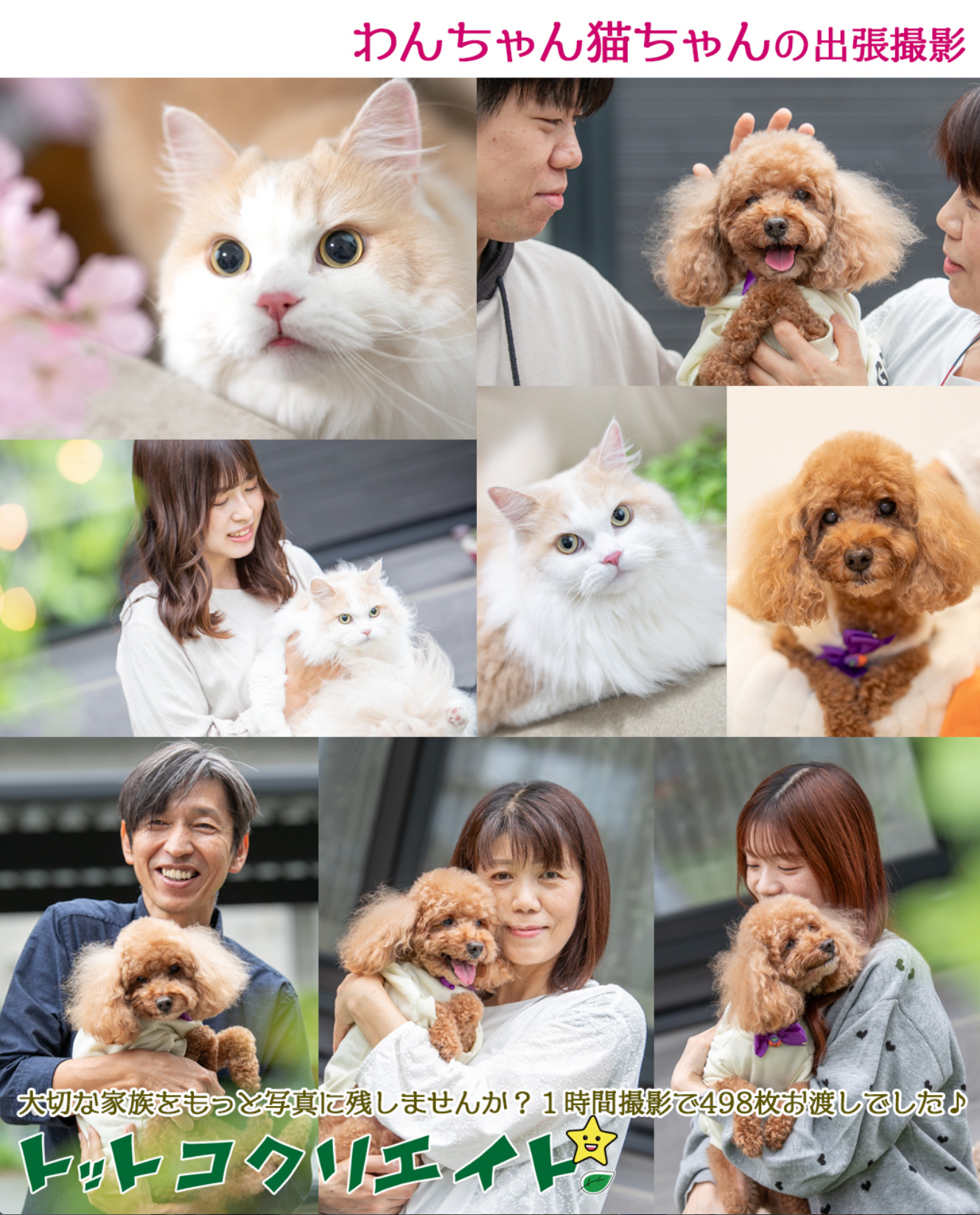 ペット写真1