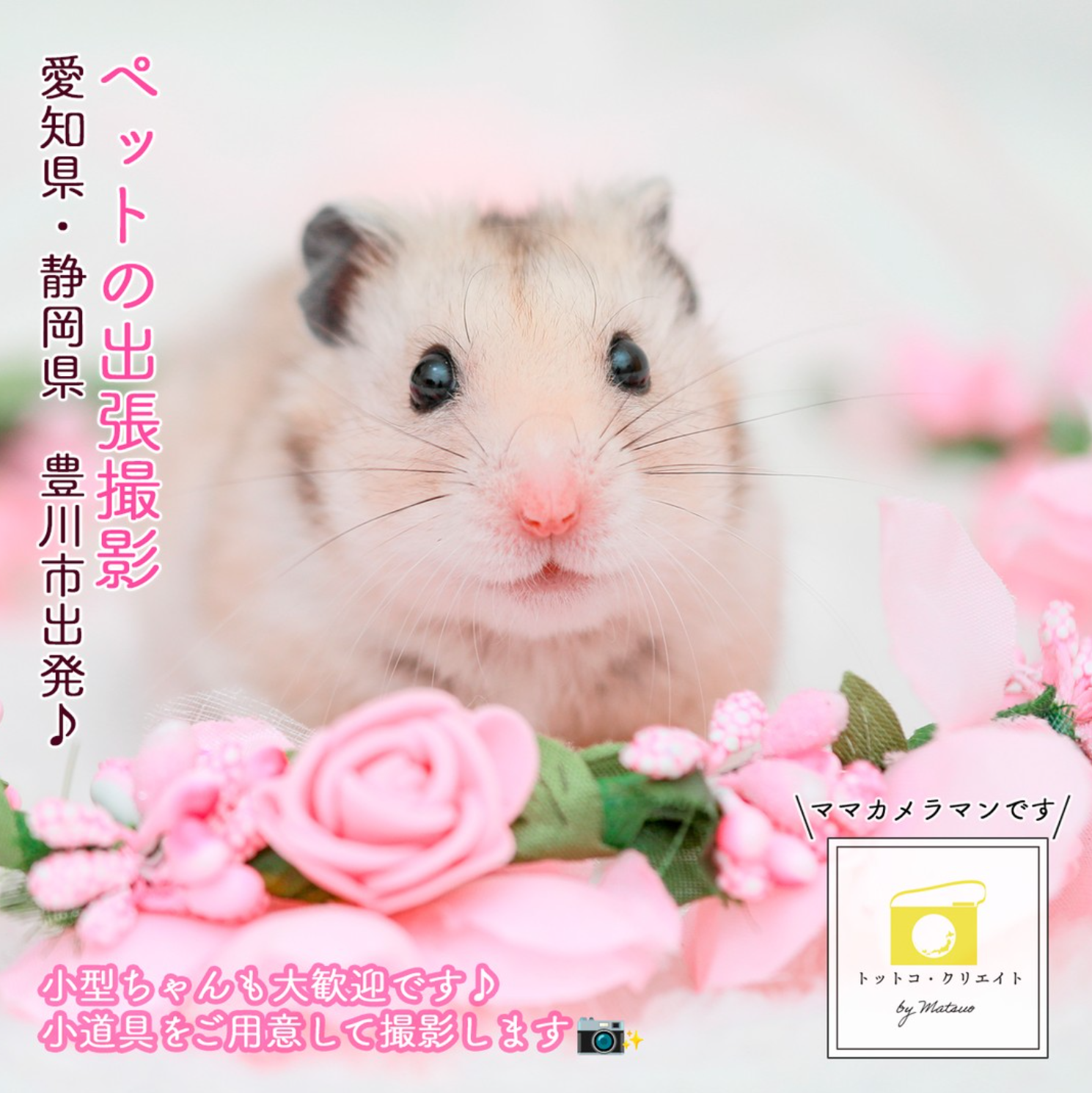 ペット写真2